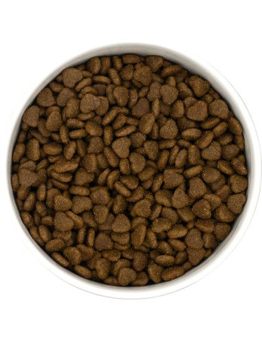 Croquettes Peptide+ Skin & Coat Care – Peau et Pelage Chat Adulte