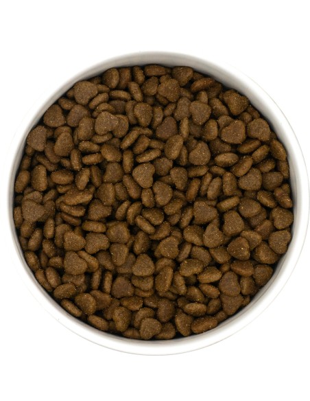 Croquettes Peptide+ Skin & Coat Care – Peau et Pelage Chat Adulte