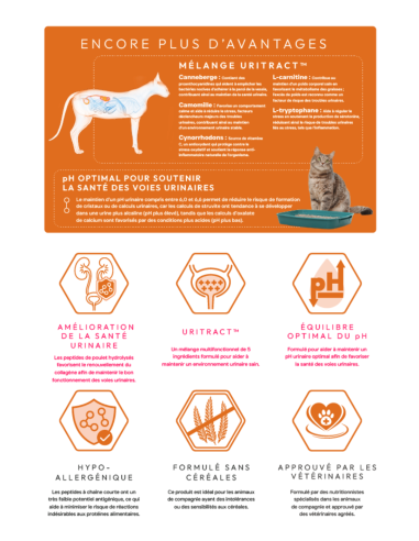 Croquettes Peptide+ Urinary Care – Santé urinaire Chat Adulte