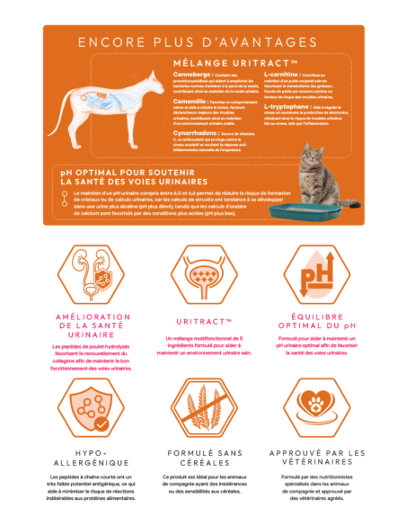 Croquettes Peptide+ Urinary Care – Santé urinaire Chat Adulte