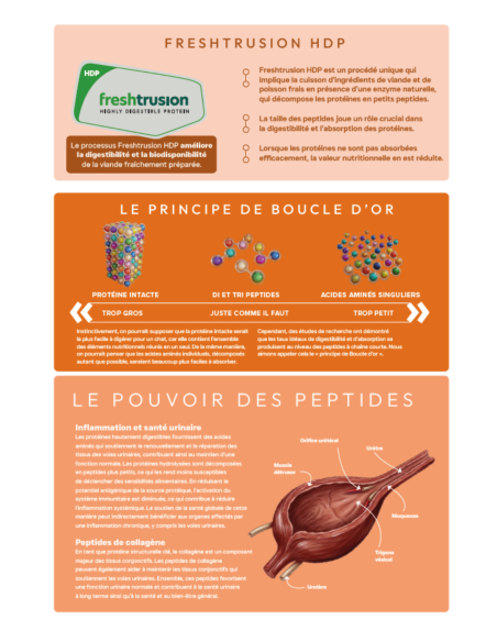 Croquettes Peptide+ Urinary Care – Santé urinaire Chat Adulte