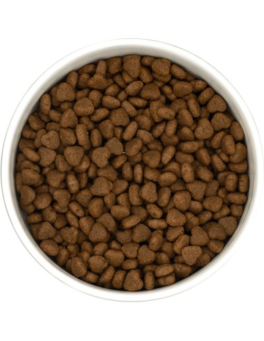 Croquettes Peptide+ Urinary Care – Santé urinaire Chat Adulte