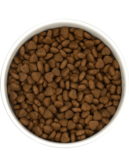 Croquettes Peptide+ Urinary Care – Santé urinaire Chat Adulte