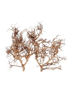 bois naturel pour aquascaping