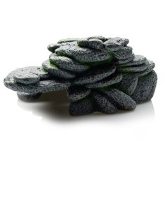 cachette, décor rocheux 2