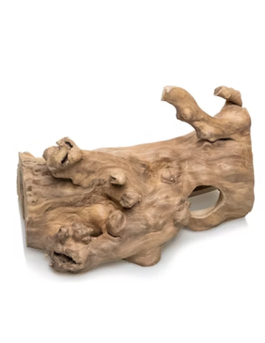 tronc creux pour reptiles