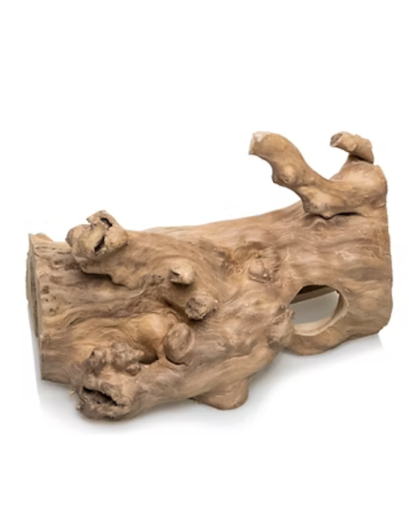 tronc creux pour reptiles