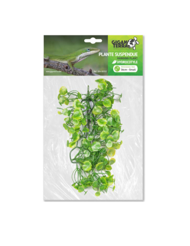 Hydrocotyle artificielle suspendue, feuillage retombant, 36 cm, décor jungle.