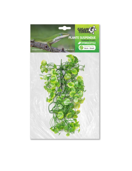 Hydrocotyle artificielle suspendue, feuillage retombant, 36 cm, décor jungle.