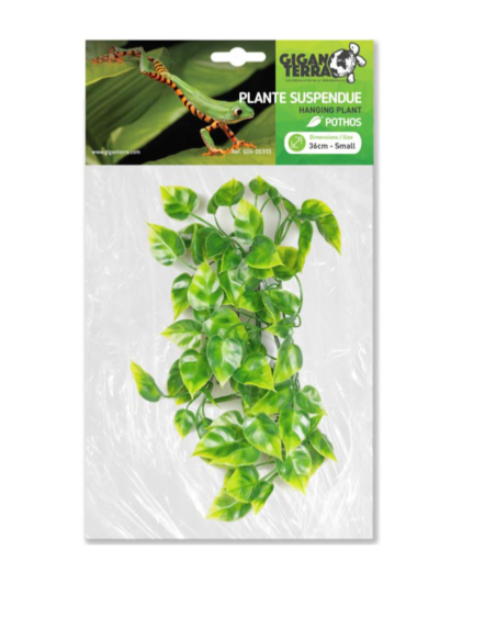 Pothos artificiel suspendu, feuilles en cœur retombantes, 36 cm, décor jungle.