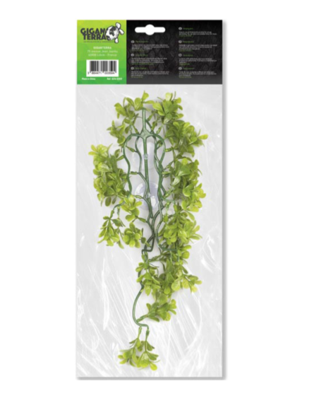 Plantes suspendues POURPIER - Hauteur 46 cm