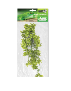 Pourpier artificiel suspendu, feuilles charnues retombantes, 46 cm, décor lumineux.