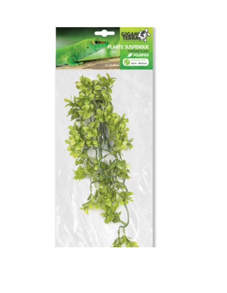 Pourpier artificiel suspendu, feuilles charnues retombantes, 46 cm, décor lumineux.