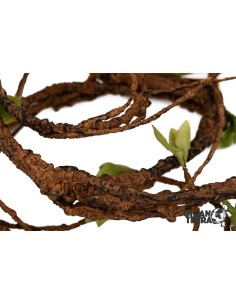 LIANA 1,5 D – 135 CM – MEDIUM pour terrarium, décor naturel et solide pour reptiles et amphibiens. 2