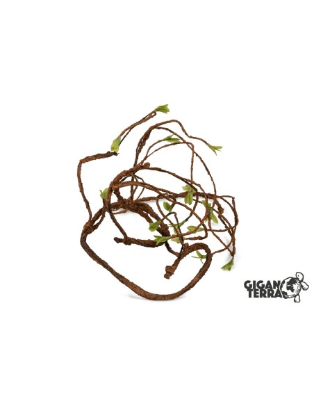 LIANA 1,5 D – 135 CM –MEDIUM