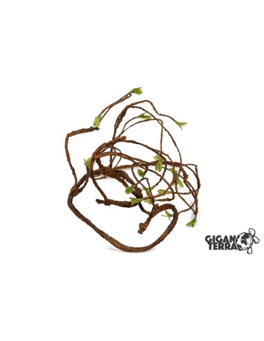 LIANA 1,5 D – 180CM