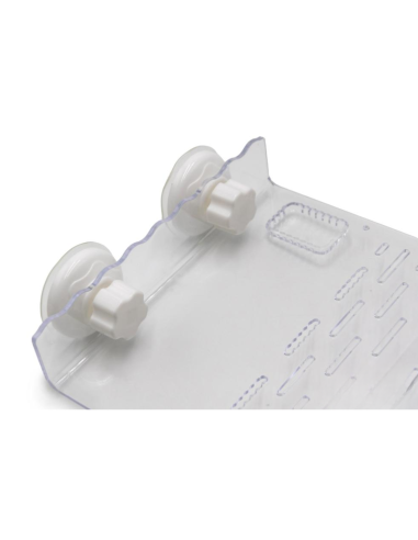 Plateforme à tortues – Gigaclimb - 20 x 24 x 6,5 cm