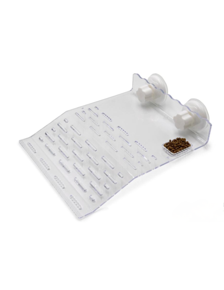 Plateforme à tortues – Gigaclimb - 20 x 24 x 6,5 cm