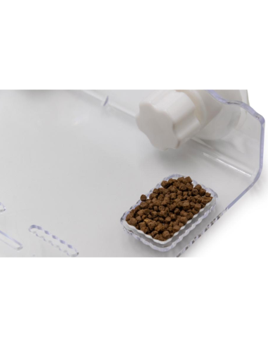 Plateforme à tortues – Gigaclimb - 20 x 24 x 6,5 cm