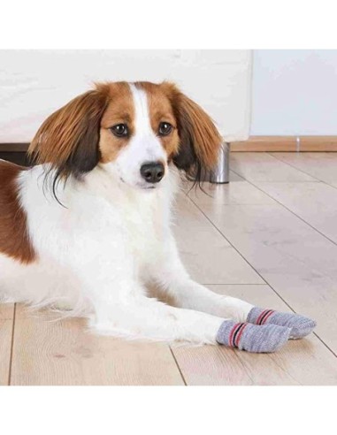 Paire de chaussettes antidérapantes pour chien