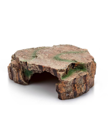 Caverne Forest L - 23x16x8cm