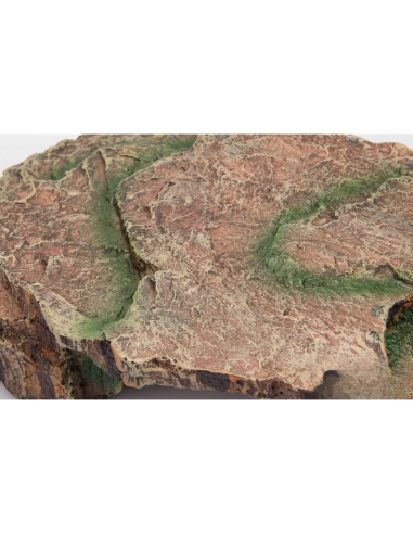 Caverne Forest L - 23x16x8cm