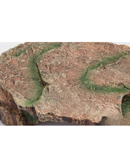 Caverne Forest L - 23x16x8cm