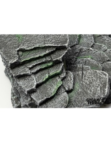 Plateforme Tortue aquatique Black