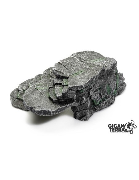 Plateforme Tortue aquatique Black