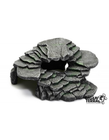 Plateforme Tortue aquatique Black