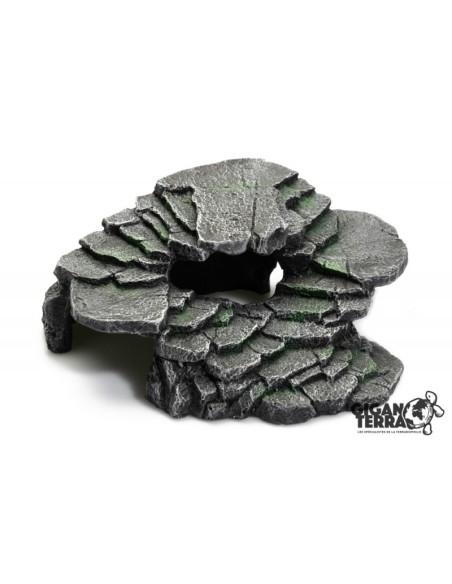 Plateforme Tortue aquatique Black