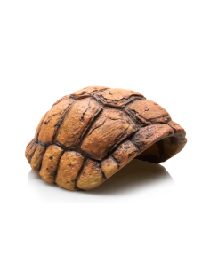 Cachette pour reptile en forme de carapace de tortue