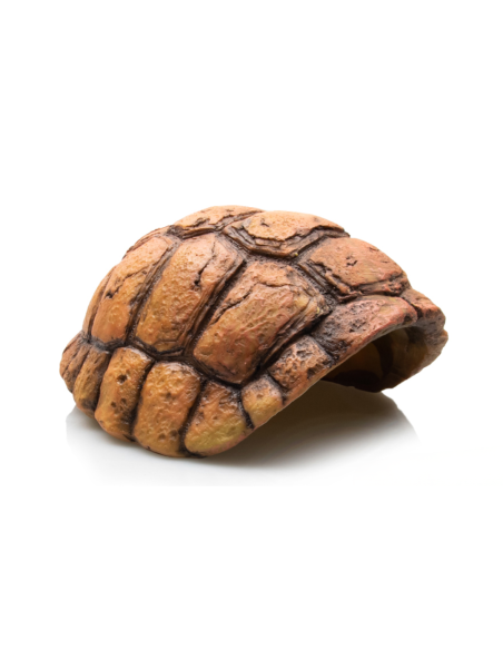 Cachette pour reptile en forme de carapace de tortue
