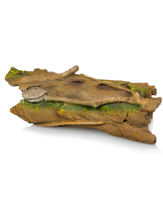 Souche 830 23,5 × 9 × 8,5 cm pour terrarium, décor naturel et cachette pour reptiles et amphibiens. 2