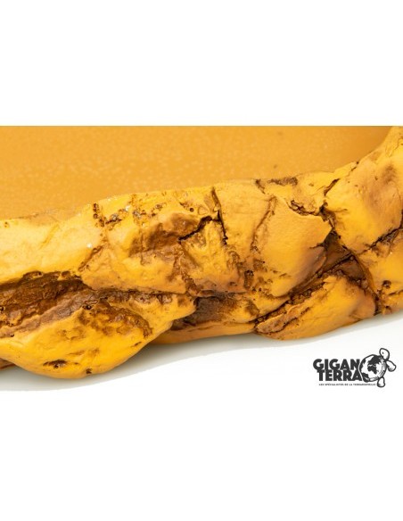 récipient plat - ROCK WATER DISH