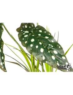 Plante artificielle sur pied pour terrarium, réaliste et sans entretien, parfaite pour décorer et rassurer vos reptiles 2