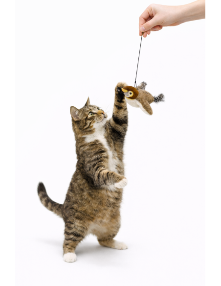 OISEAU INTERACTIF - jouet pour chat