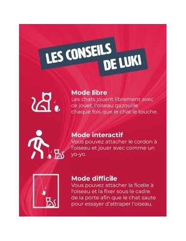 OISEAU INTERACTIF - jouet pour chat