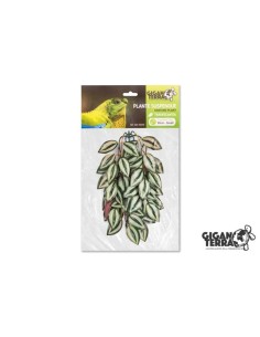 Les plantes suspendues 30 cm sont des décors artificiels pour terrarium qui apportent un effet naturel