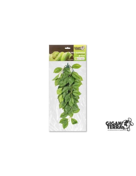 Plantes suspendues 1 - hauteur 45cm 258