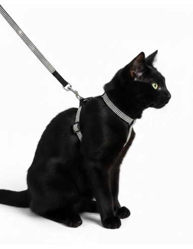 LAISSE ET HARNAIS CHAT GAROT 31-42 LAISSE 120CM NOIR ET STRASS