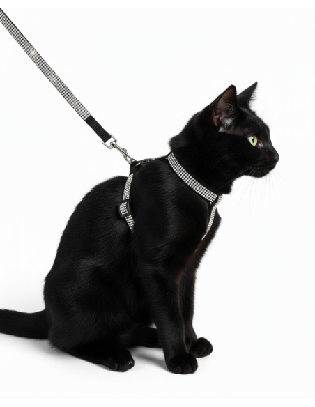 LAISSE ET HARNAIS CHAT GAROT 31-42 LAISSE 120CM NOIR ET STRASS