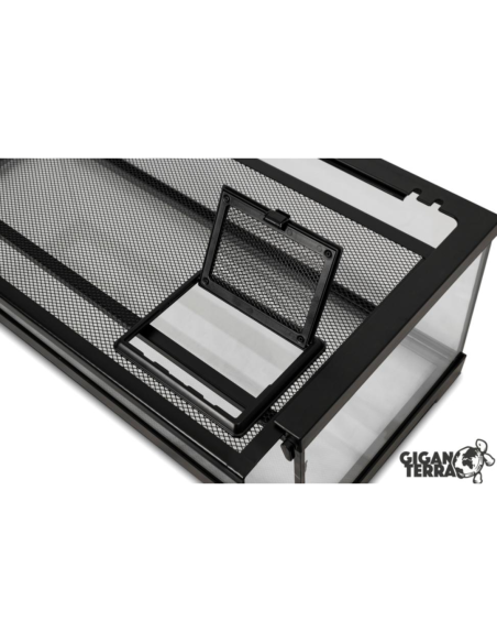 Terrarium Gigaturtle