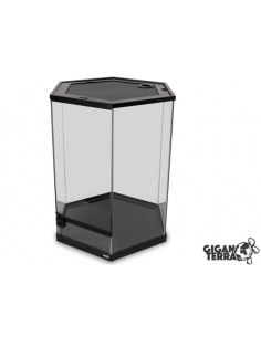 Terrarium GIGAHIVE L