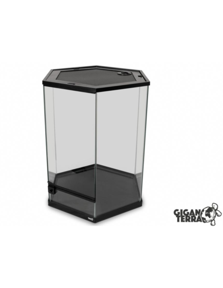 Terrarium GIGAHIVE L