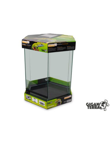 Terrarium GIGAHIVE L