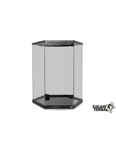 Terrarium GIGAHIVE L