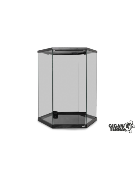 Terrarium GIGAHIVE L