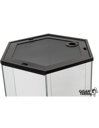 Terrarium GIGAHIVE L