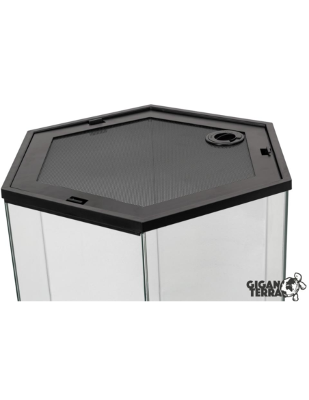 Terrarium GIGAHIVE L